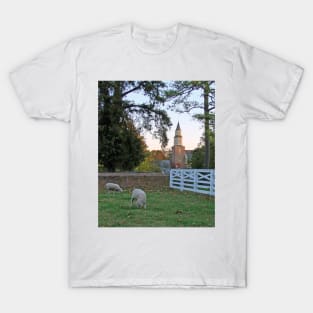 Sheep Grazing T-Shirt